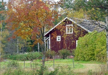 Ett rött hus med trädgård i höstskrud.