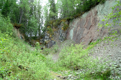Ett grönvuxet brott där höger bergvägg visar mängder av fossiler.
